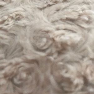 Meet your Posher, Delmy